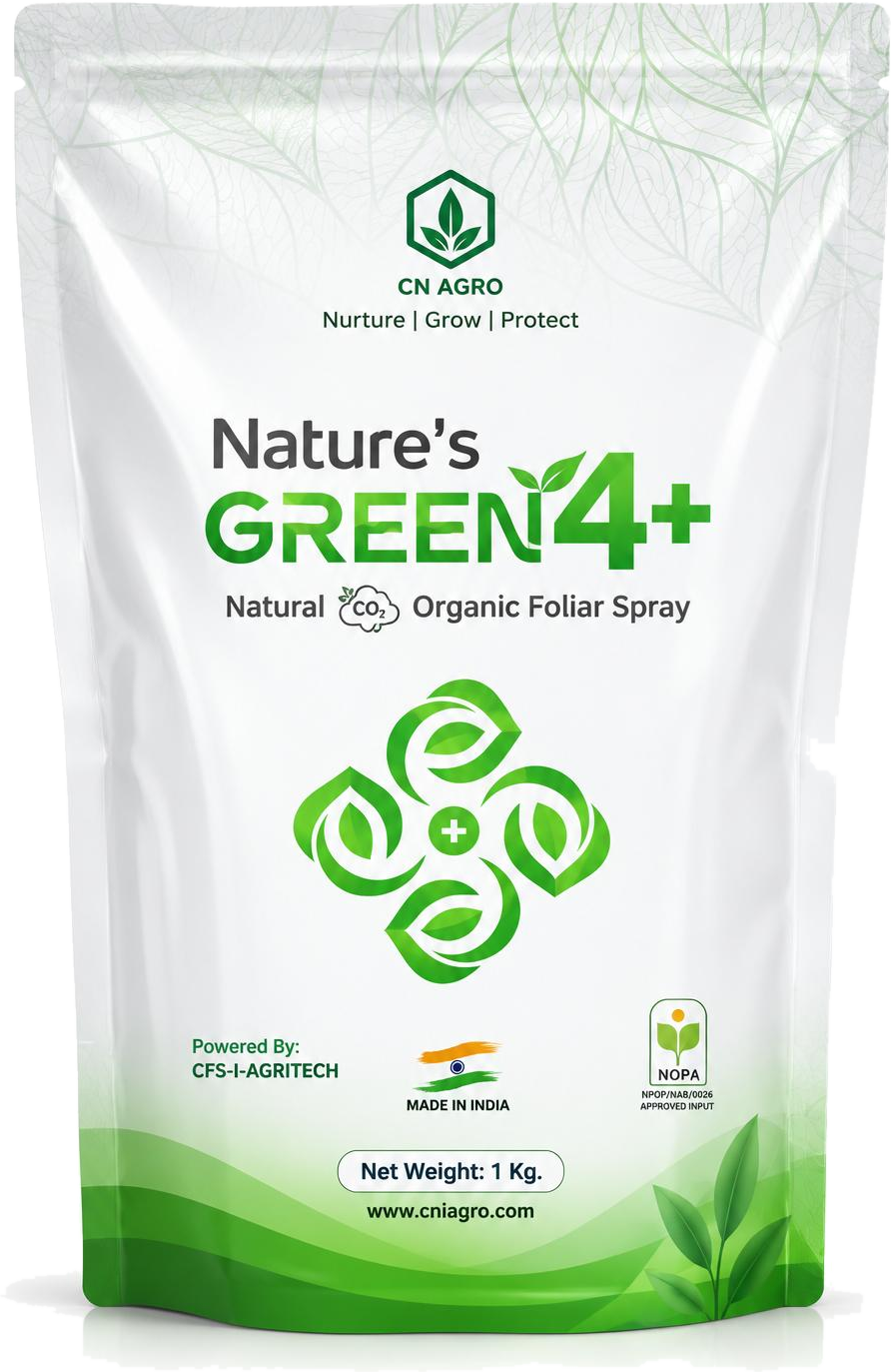 Nature's Green 4+ pack